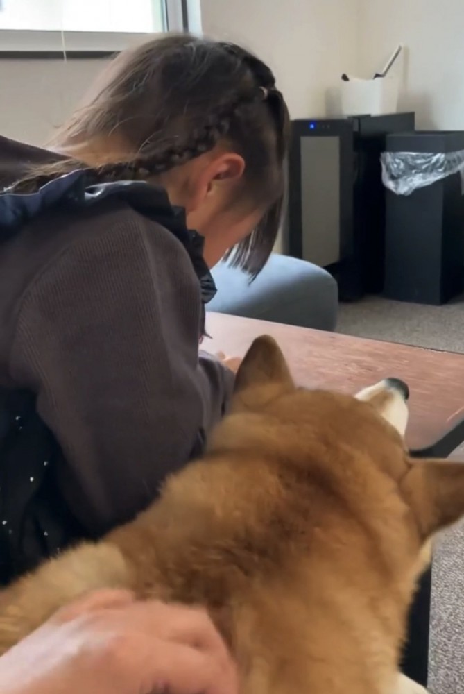 女の子の横に並ぶ犬