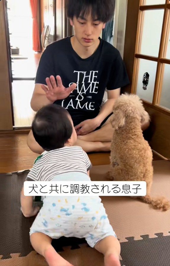 ハイハイする息子さん