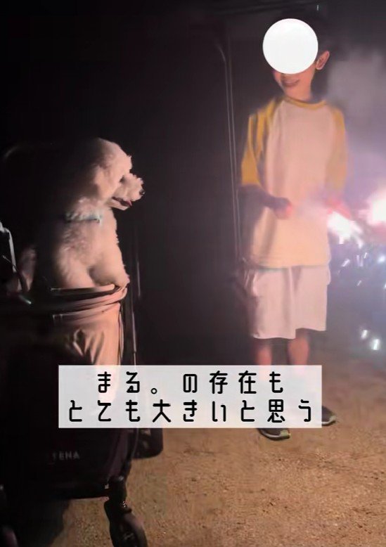 まるちゃんの存在は大きい