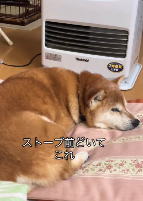 満足気な表情でスヤスヤ