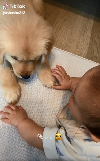 向かい合うあしゅちゃんと赤ちゃん