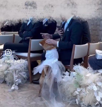 参列者にご挨拶