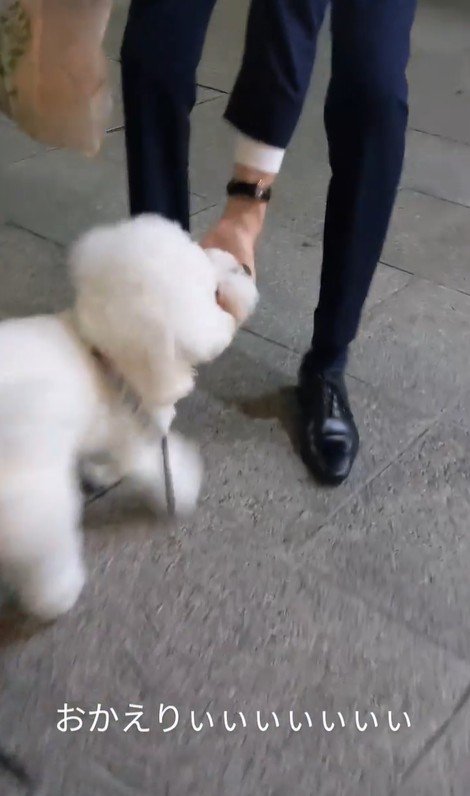 パパさんのお迎えに来たふう太くん3