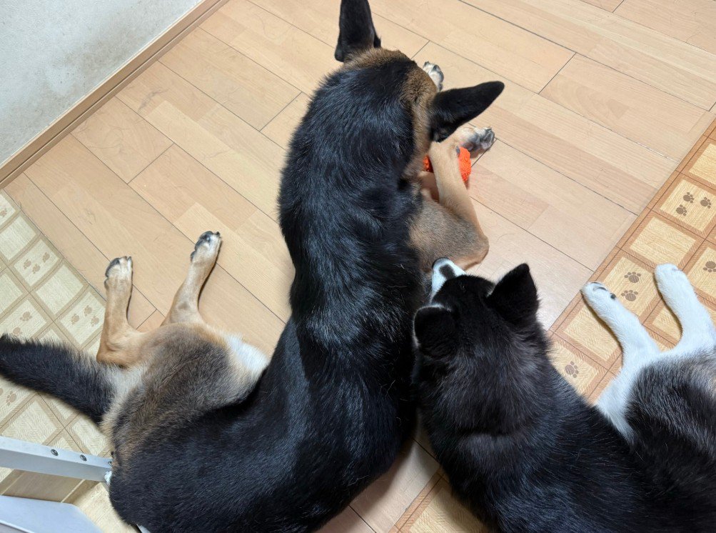 いつも一緒に…