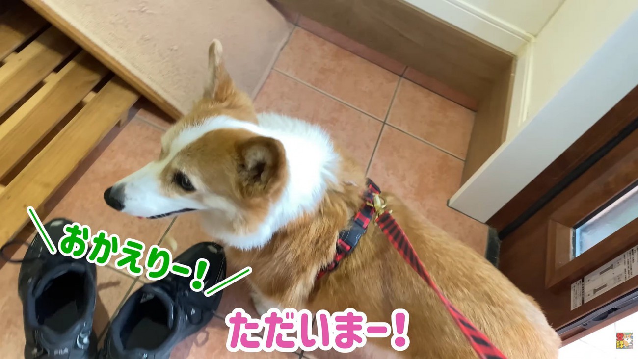 帰宅したら、お姉ちゃんの声が！