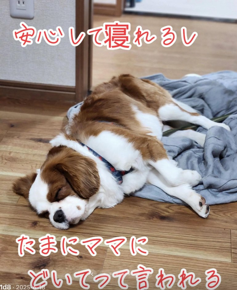 通路で眠るだいちくん