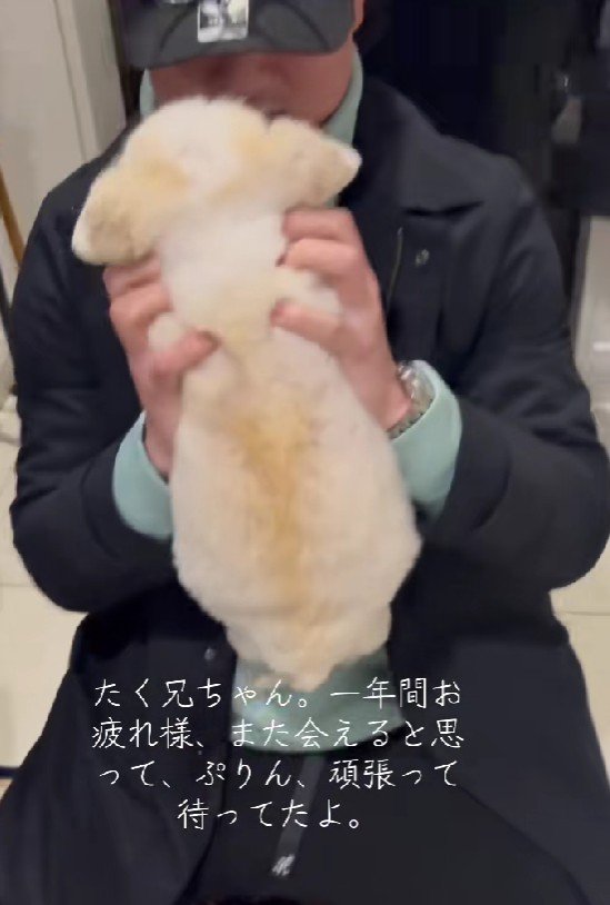 お兄ちゃんに会えてよかったね