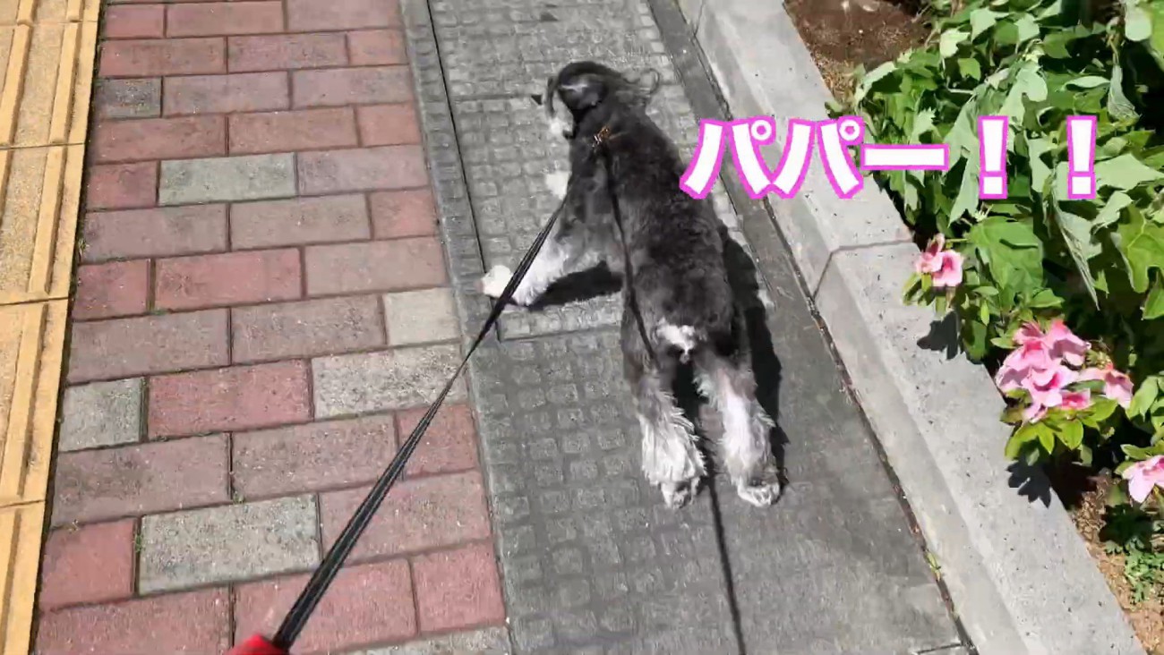 気付いた瞬間に全力ダッシュ！