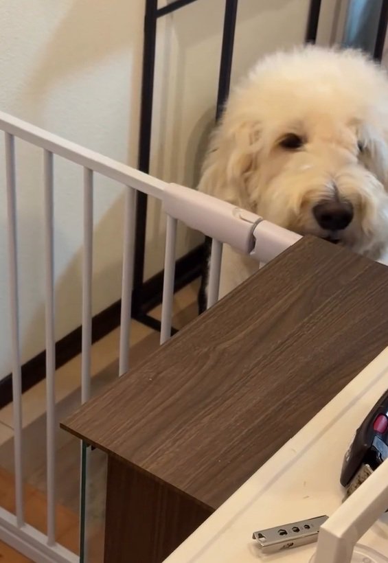 やってきたソラくん