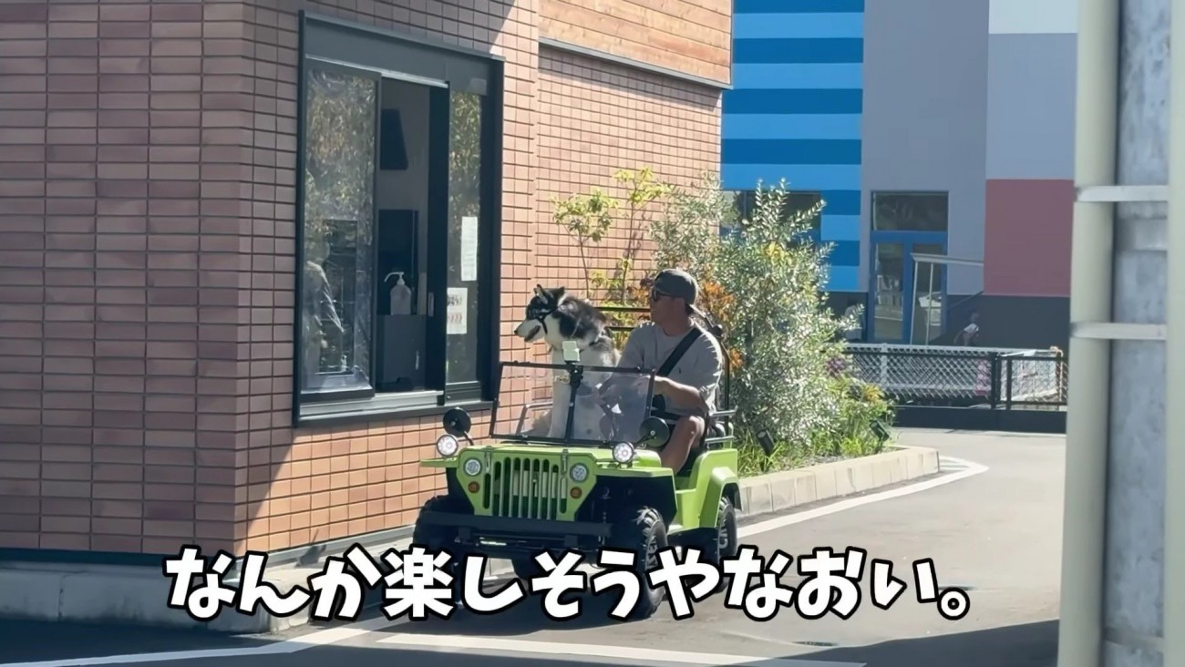 ママがじっと見つめます