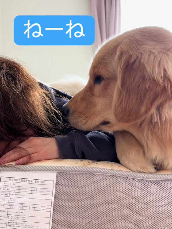 「大丈夫？間に合う？」