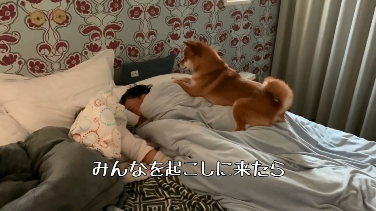 パパの上に乗る花子ちゃん