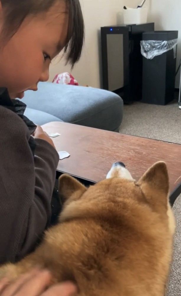 犬を怒る女の子