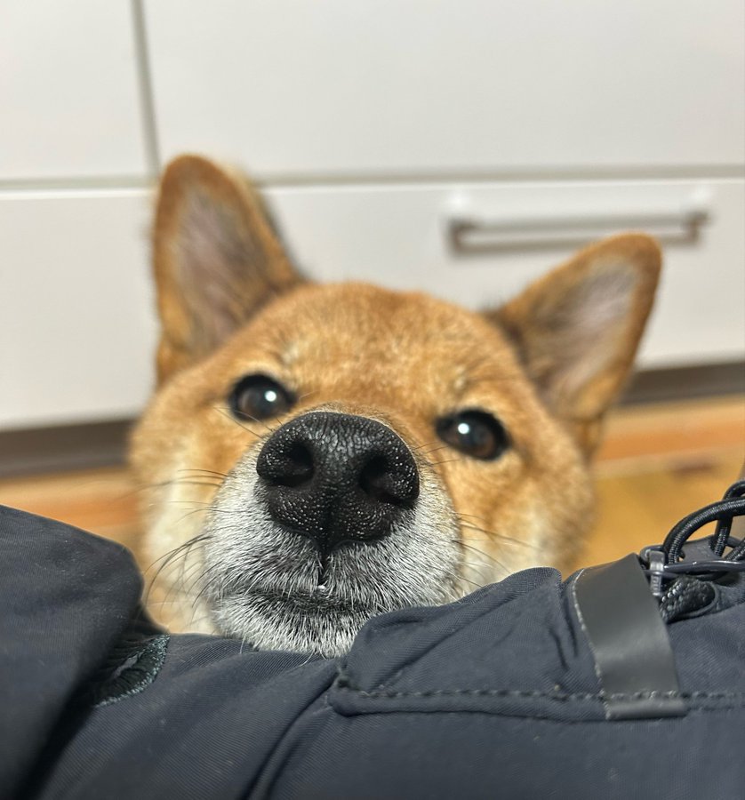 きゅるん