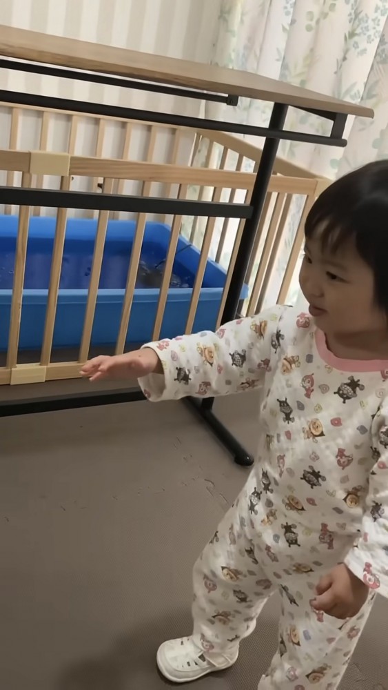 手を伸ばして近づく女の子