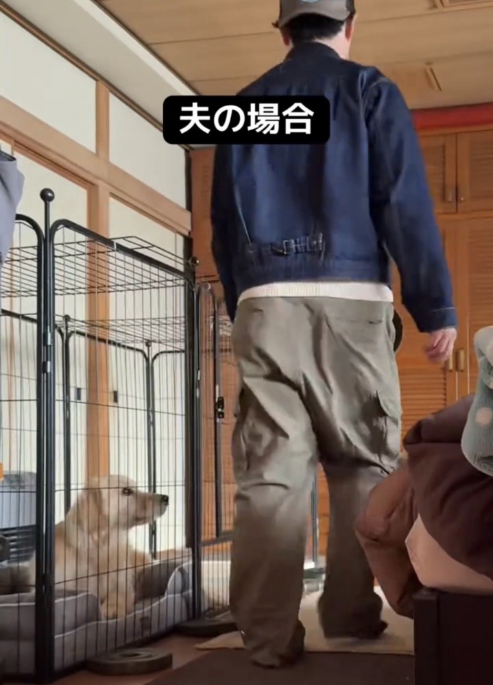 通り過ぎる人を目で追う犬