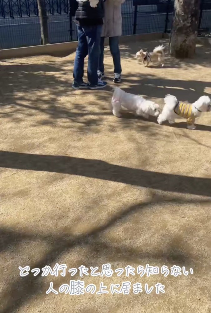 ノアちゃんはどこ！？