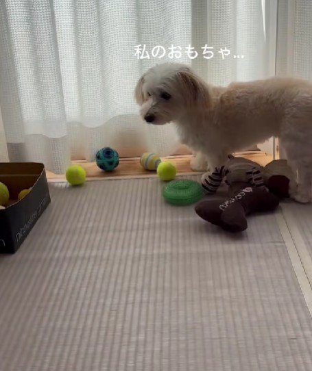 「私のおもちゃが…」