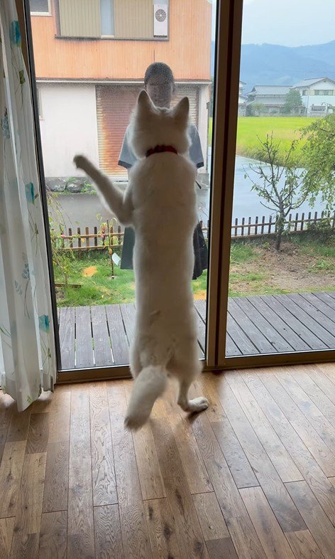 お姉ちゃんを引き止めたいまる君2