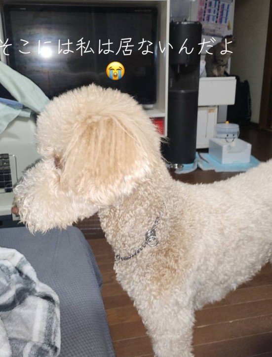 そわそわ落ち着かない