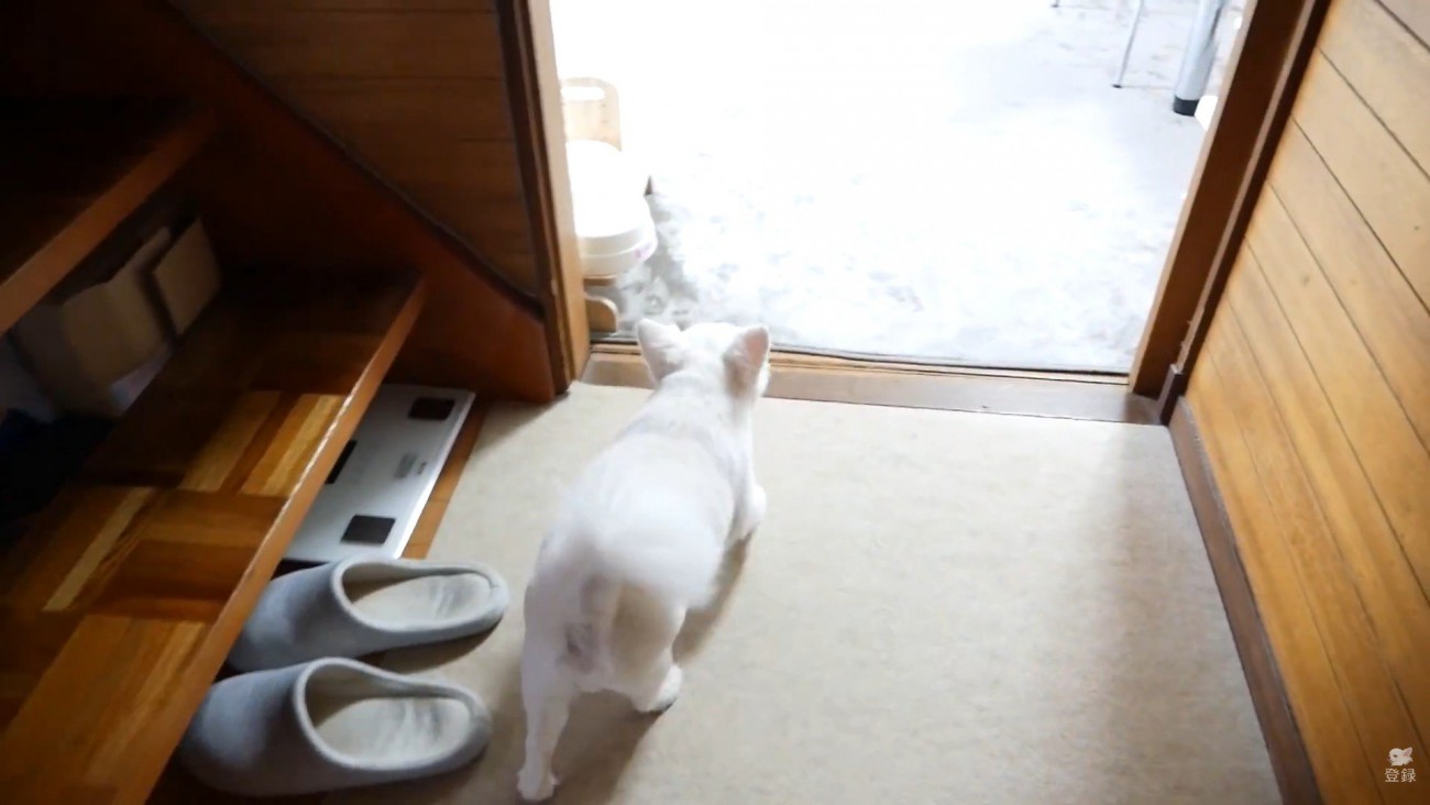 おばあちゃんのお顔を見て満足♪