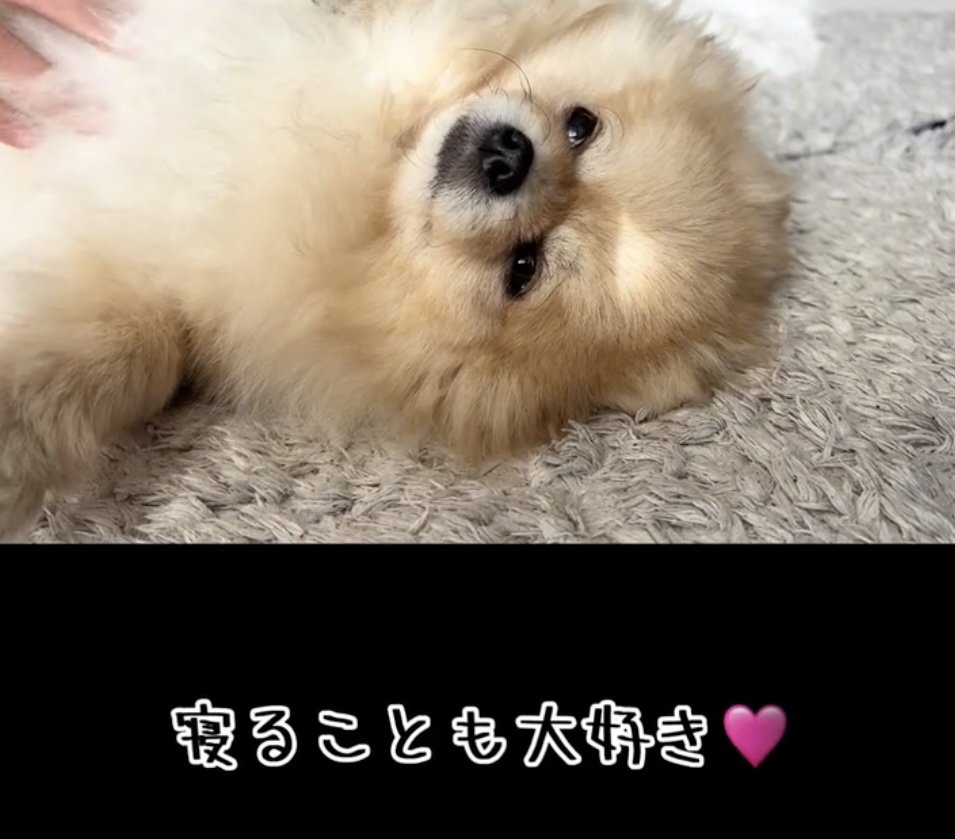 心おだやかな毎日