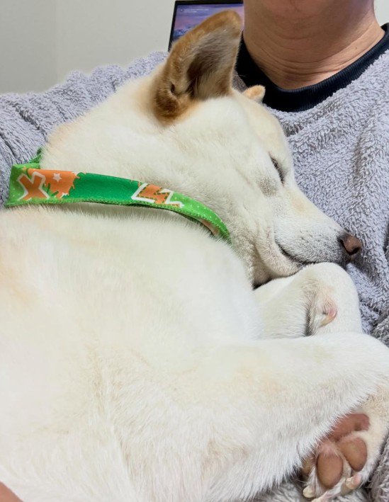 変わらず甘えん坊です