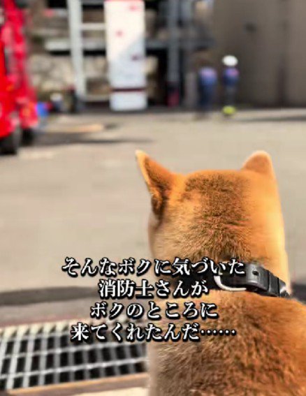 一人の消防士さんが近付いて…