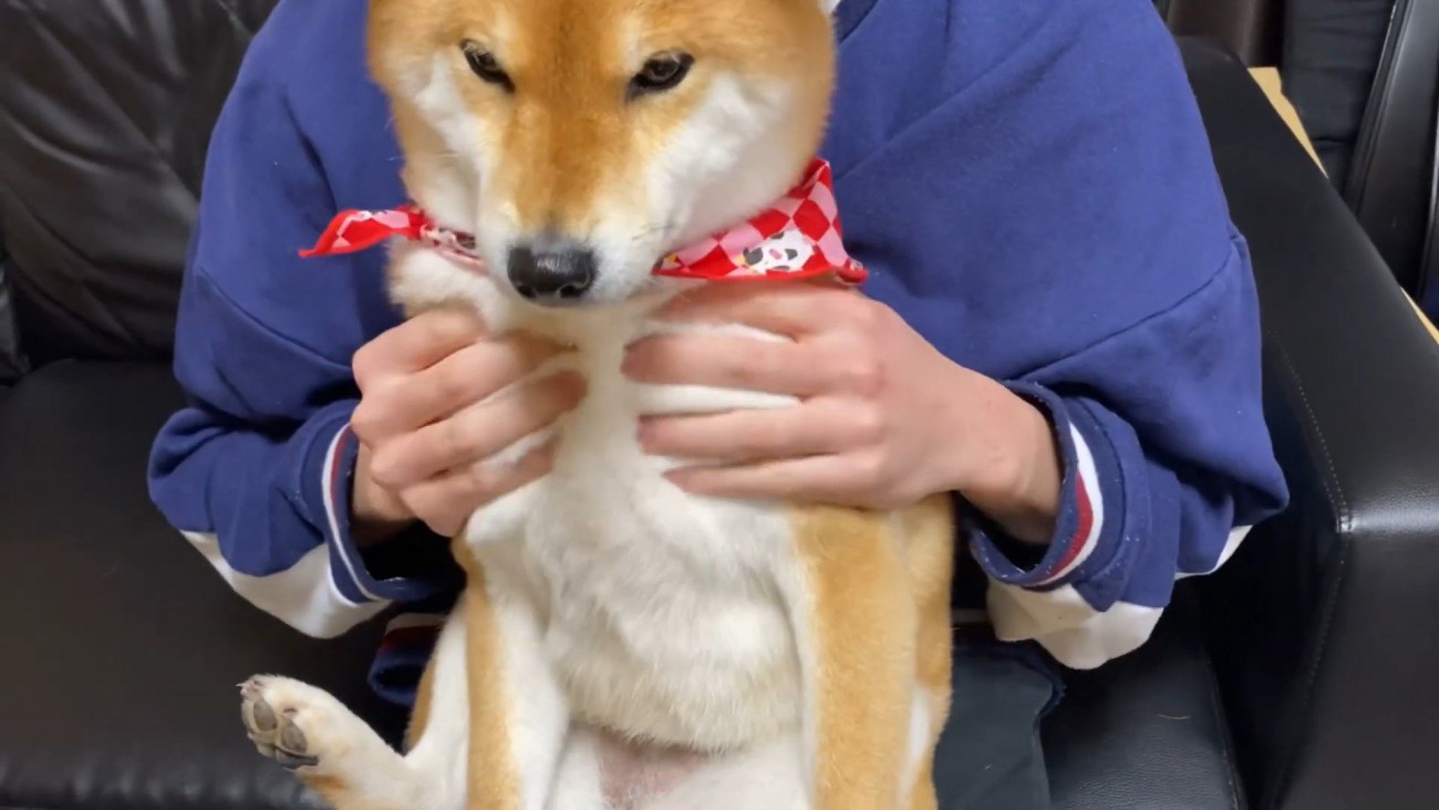 至福のひと時♡