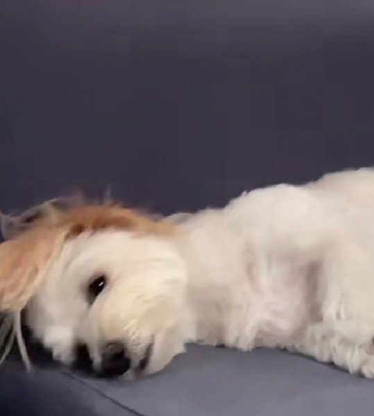 目が覚めた…？