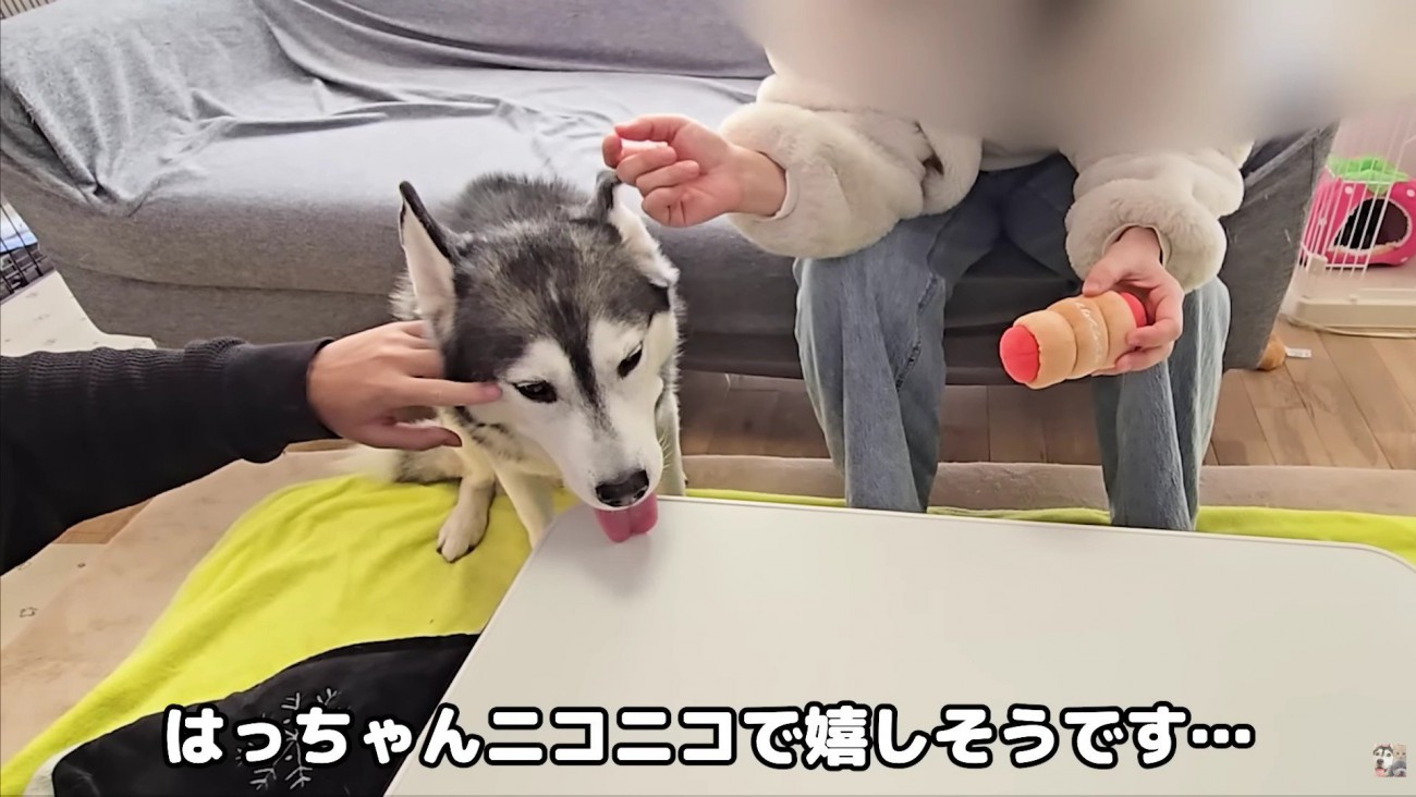 ニコニコ笑顔のはっちゃん