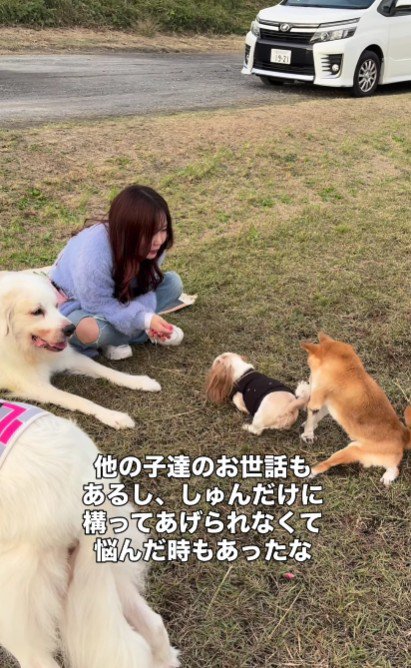 仲間もたくさんいるよ