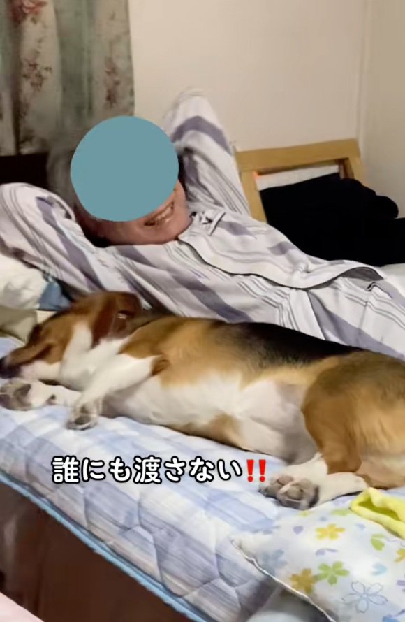 横になるさらんちゃん