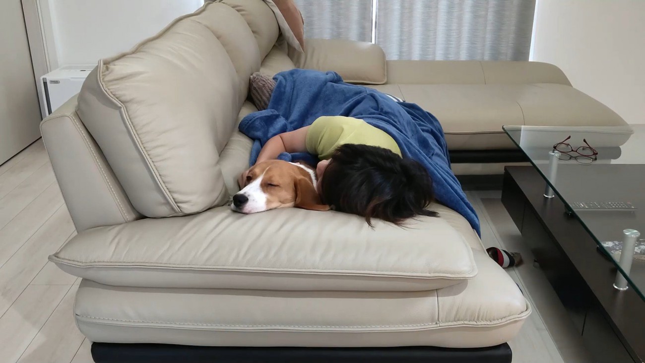 疲れ果ててすやすや…