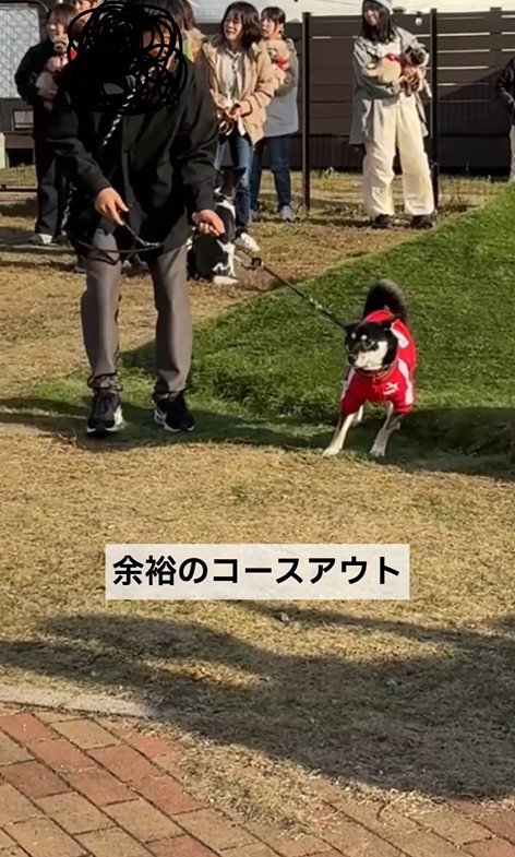 「障害物競走」もコースアウトで失格