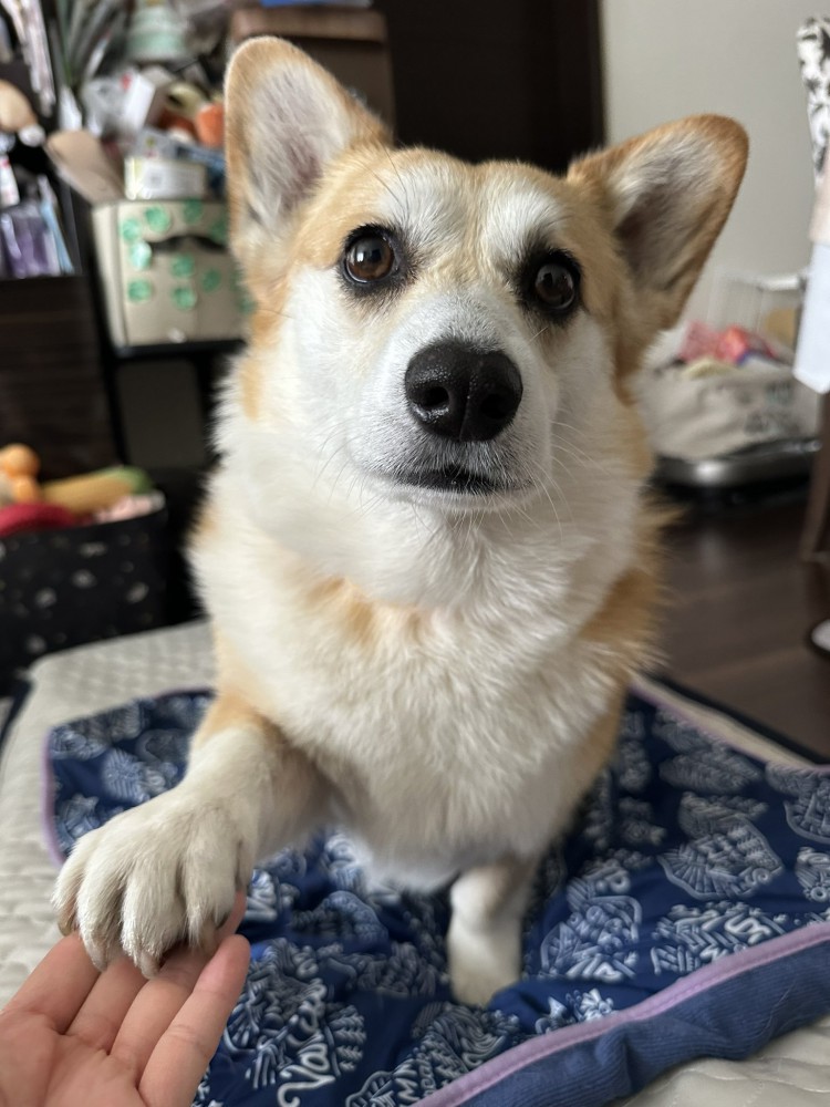 おて