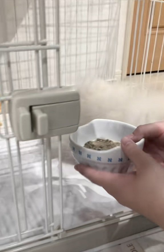 ごはんをあげる飼い主さん