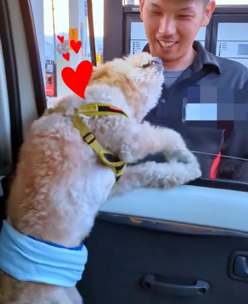 スタッフさんに撫でてもらう犬3