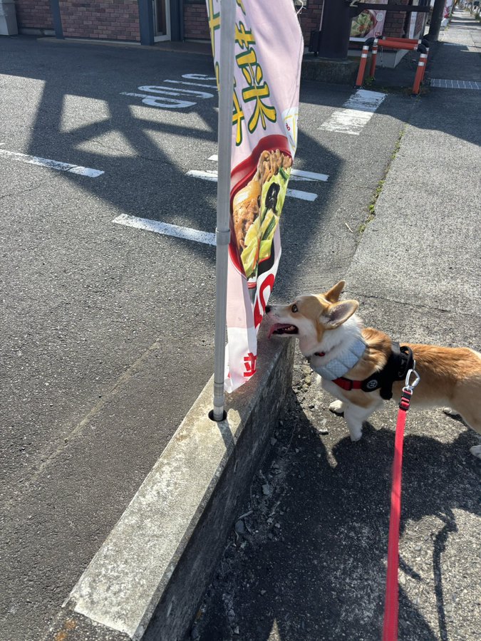 のぼり旗