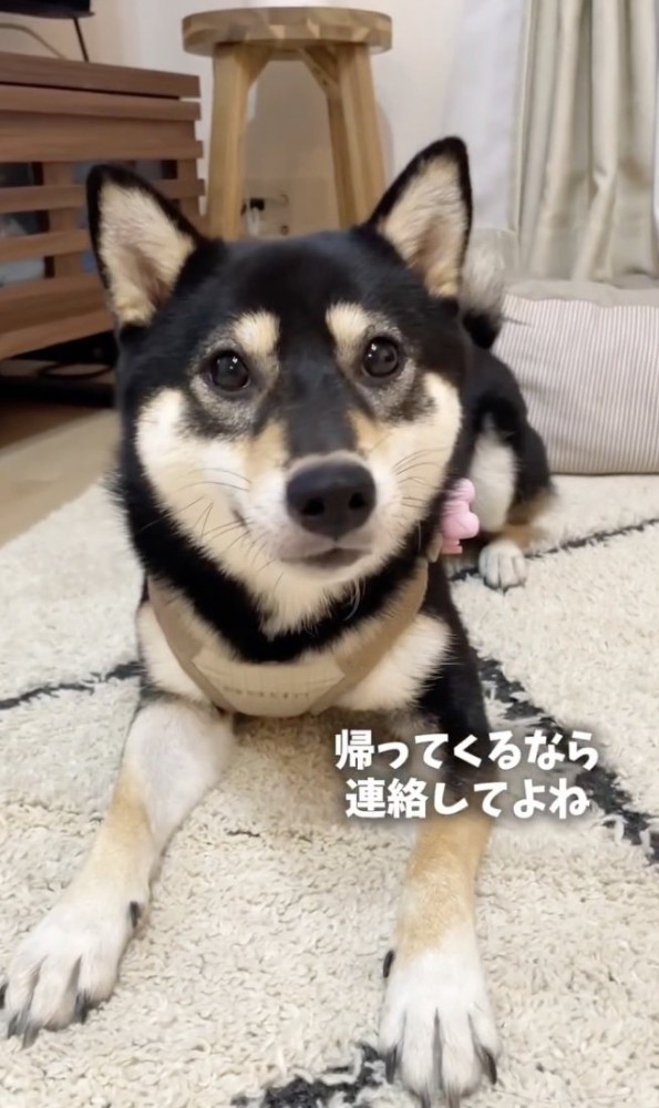 パパの彼女ですから！