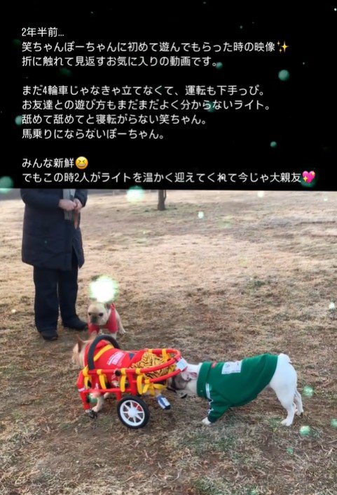 車椅子のライトくんとお友達9