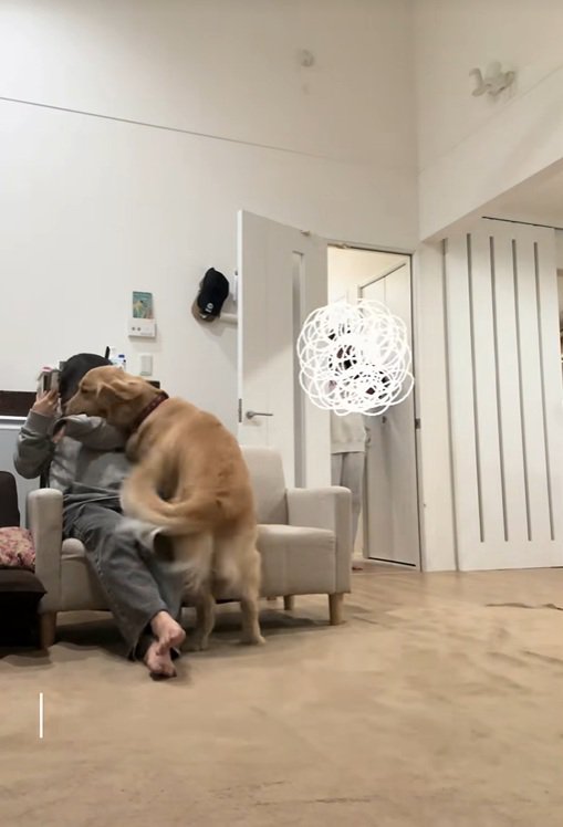 ハナコちゃんとお姉ちゃんの再会6