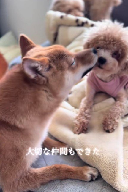 友情の大切さも知った