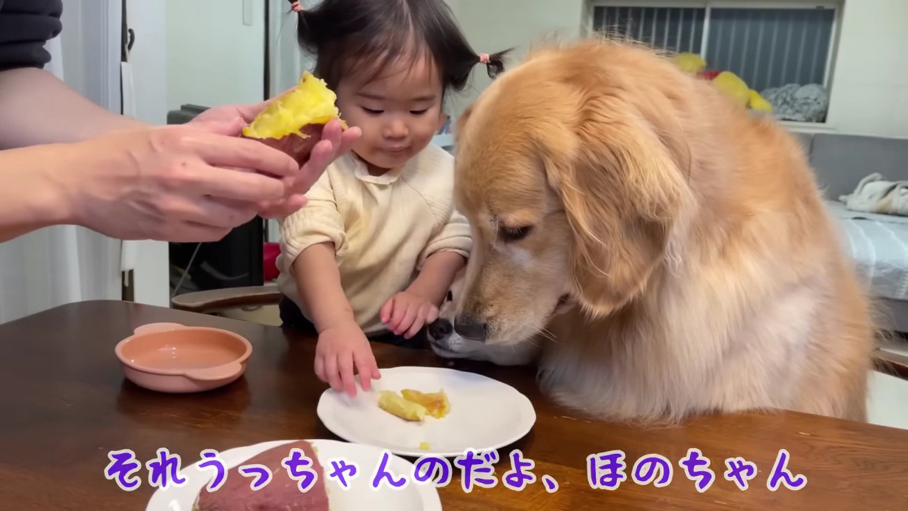 こっちがいい！！