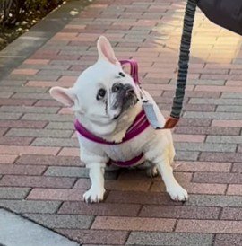 「あんた誰！？」