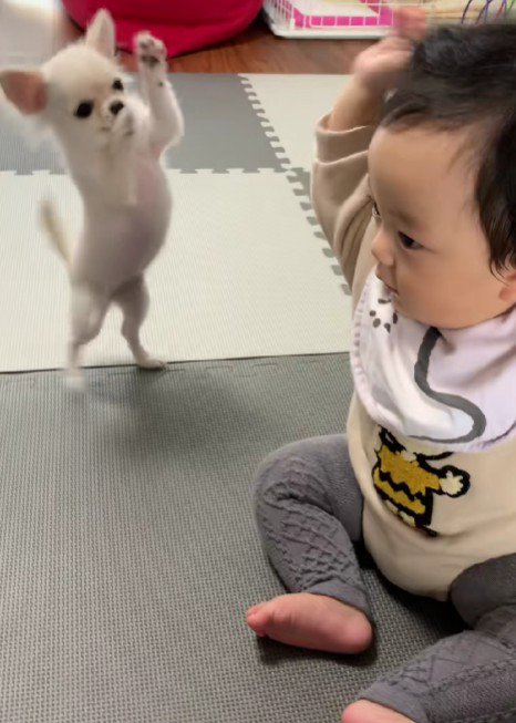 2人でダンスを踊ることも