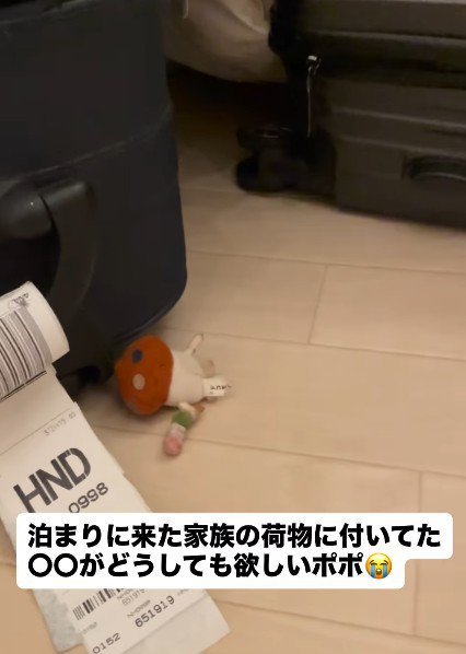 ストラップが欲しかった♡