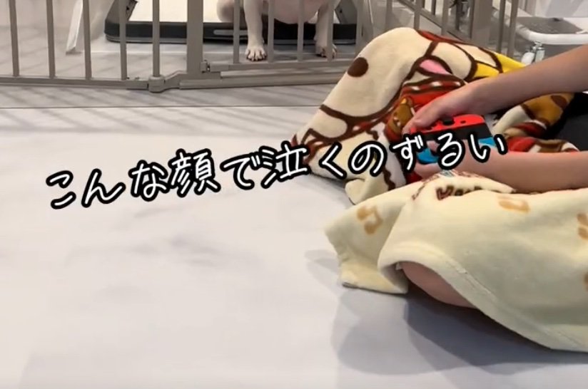 コメント