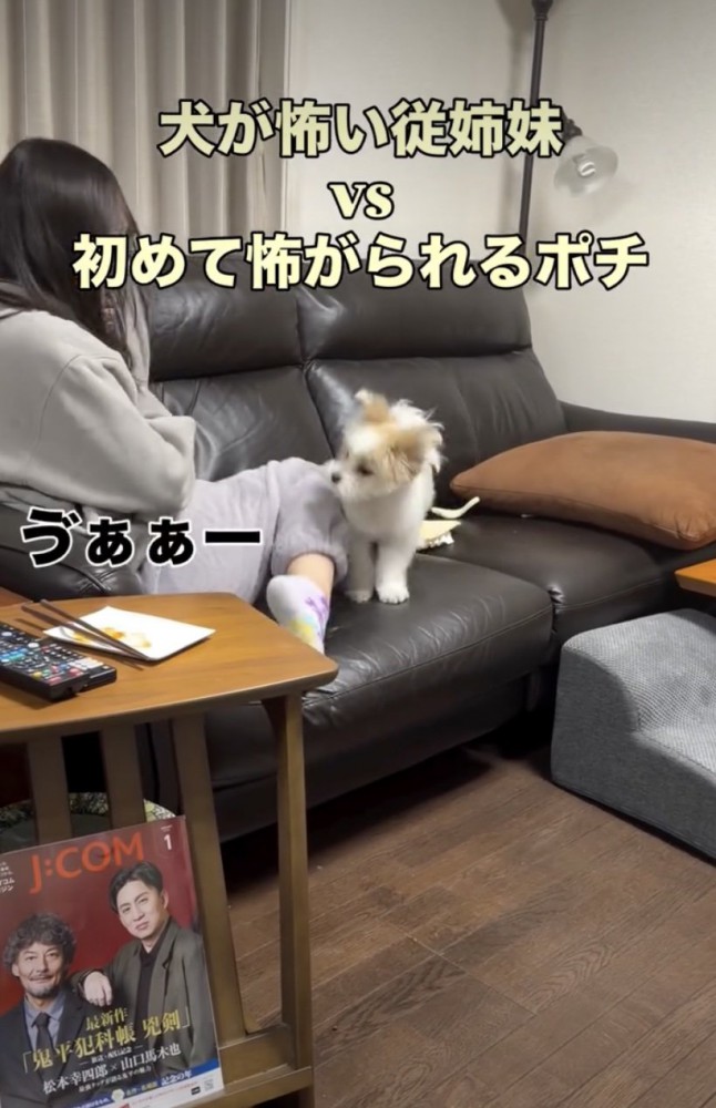 まさかの悲鳴が！