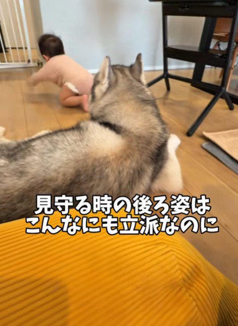 本当の親のよう